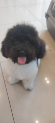 프로필 사진