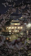 프로필 사진