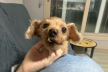 https://thecheat.co.kr/fs_sbl/member/2026/05/11/7e41b311a92dda5aa54e1413e9b0a49c.png