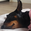 프로필 사진