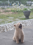 프로필 사진