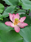 프로필 사진