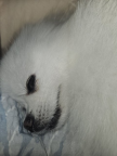 프로필 사진