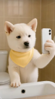프로필 사진