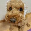 프로필 사진