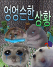 프로필 사진