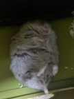 프로필 사진