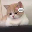 프로필 사진