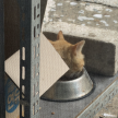 프로필 사진