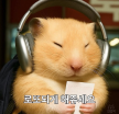프로필 사진