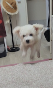 프로필 사진