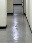 프로필 사진