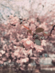 프로필 사진