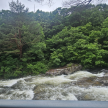 프로필 사진