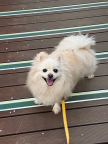 프로필 사진