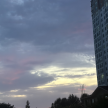 프로필 사진