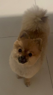 프로필 사진