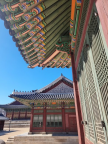 프로필 사진