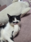 프로필 사진