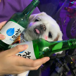 프로필 사진