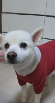 프로필 사진