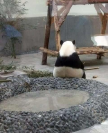 프로필 사진