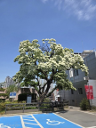 프로필 사진