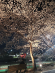 프로필 사진