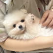 프로필 사진