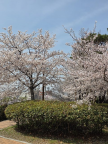 프로필 사진