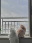 프로필 사진