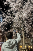 프로필 사진