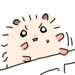 프로필 사진