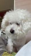 프로필 사진