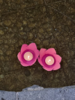 프로필 사진