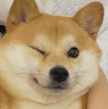 프로필 사진