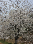 프로필 사진