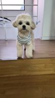 프로필 사진