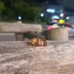 프로필 사진