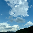 프로필 사진
