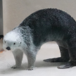 프로필 사진