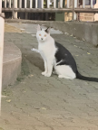 프로필 사진