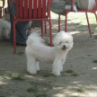 프로필 사진