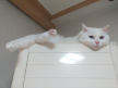 프로필 사진