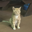 프로필 사진