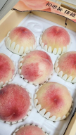 프로필 사진