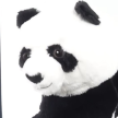 프로필 사진