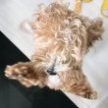 프로필 사진