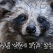 프로필 사진