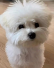 프로필 사진
